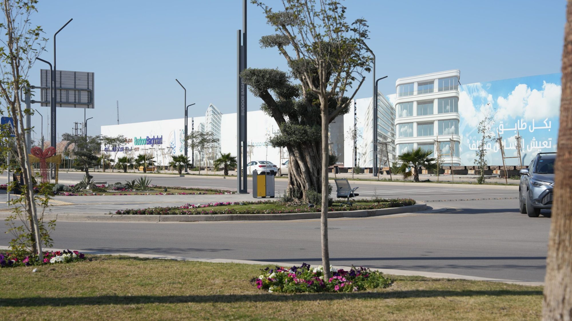 DSC03019